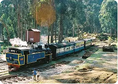 Ooty Toy Train